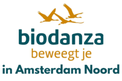 De beweging.in biodanza met Minco Ruiter (WEBSITE ONDER CONSTRUCTIE!)